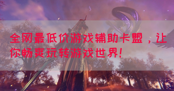 全网最低价游戏辅助卡盟，让你畅爽玩转游戏世界！