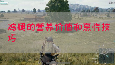 鸡腿的营养价值和烹饪技巧