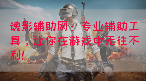 魂影辅助网：专业辅助工具，让你在游戏中无往不利！