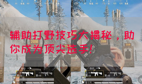 辅助打野技巧大揭秘，助你成为顶尖选手！