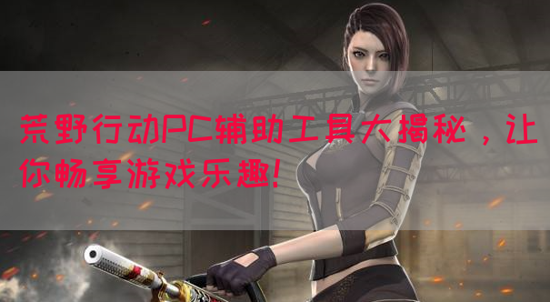 荒野行动PC辅助工具大揭秘，让你畅享游戏乐趣！