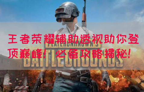 王者荣耀辅助透视助你登顶巅峰！必备攻略揭秘！(图1)