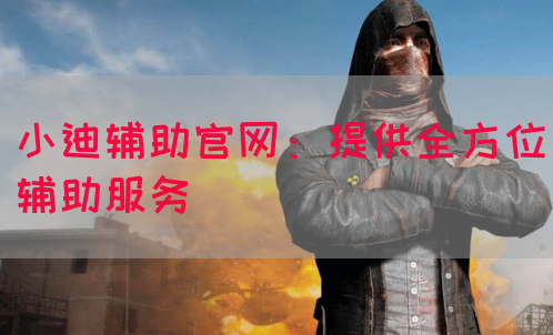 小迪辅助官网：提供全方位辅助服务