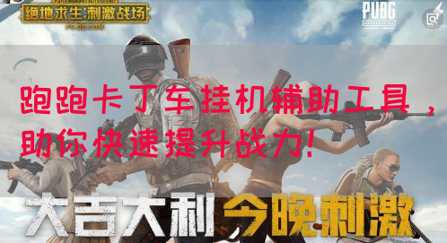 跑跑卡丁车挂机辅助工具，助你快速提升战力！