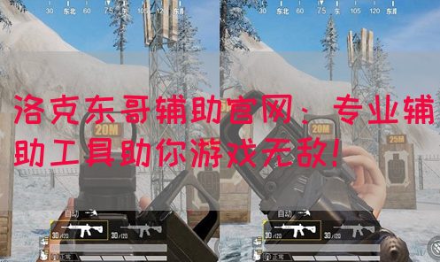 洛克东哥辅助官网：专业辅助工具助你游戏无敌！
