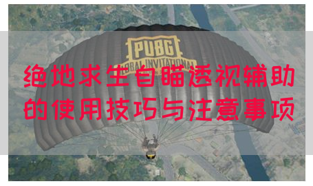 绝地求生自瞄透视辅助的使用技巧与注意事项
