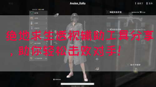 绝地求生透视辅助工具分享,助你轻松击败对手!(图1) 绝地求生透视辅助工具分享,助你轻松击败对手!(图1)