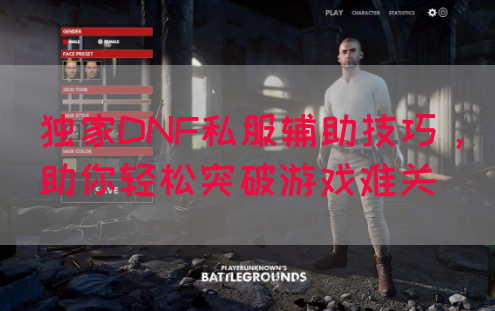 独家DNF私服辅助技巧,助你轻松突破游戏难关(图1) 独家DNF私服辅助技巧,助你轻松突破游戏难关(图1)