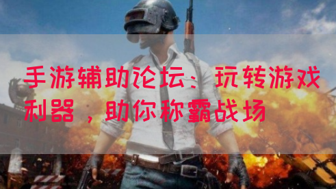 手游辅助论坛：玩转游戏利器，助你称霸战场