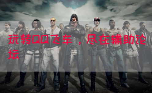 玩转QQ飞车，尽在辅助论坛