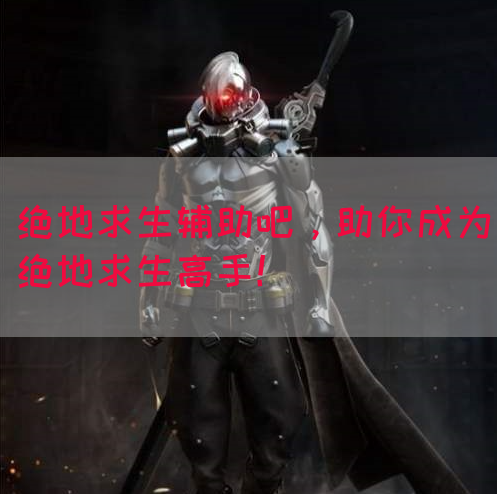 绝地求生辅助吧，助你成为绝地求生高手！