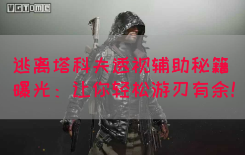 逃离塔科夫透视辅助秘籍曝光：让你轻松游刃有余！