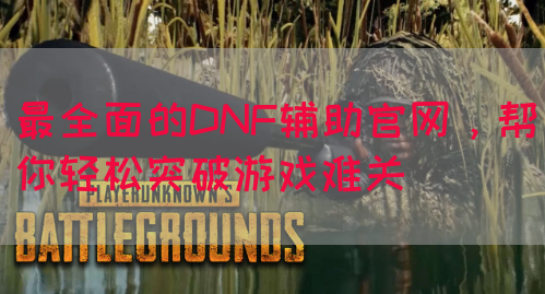 最全面的DNF辅助官网，帮你轻松突破游戏难关