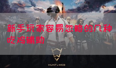 新手玩家容易忽略的几种吃鸡辅助