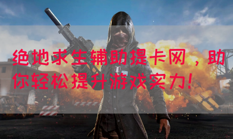 绝地求生辅助提卡网，助你轻松提升游戏实力！