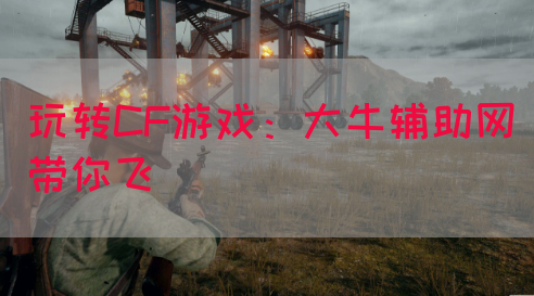 玩转CF游戏：大牛辅助网带你飞
