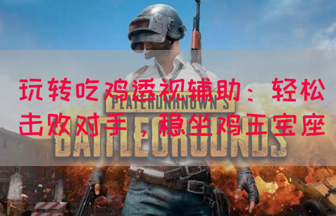 玩转吃鸡透视辅助：轻松击败对手，稳坐鸡王宝座