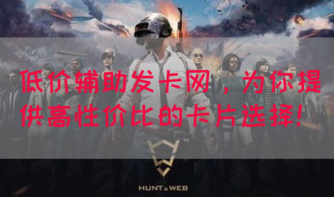 低价辅助发卡网，为你提供高性价比的卡片选择！