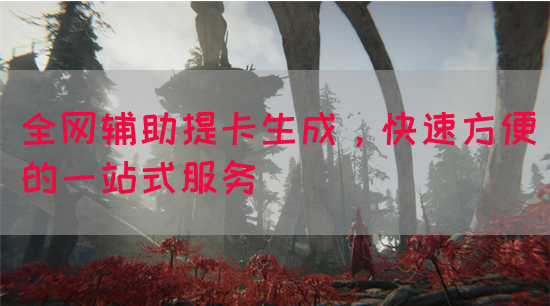 全网辅助提卡生成,快速方便的一站式服务(图1) 全网辅助提卡生成,快速方便的一站式服务(图1)