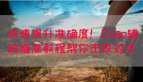 快速提升准确度!Csgo辅助瞄准教程帮你击败对手(图1) 快速提升准确度!Csgo辅助瞄准教程帮你击败对手(图1)
