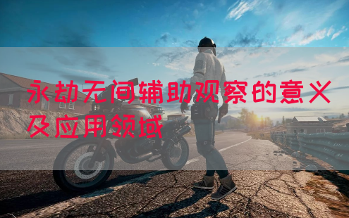 永劫无间辅助观察的意义及应用领域