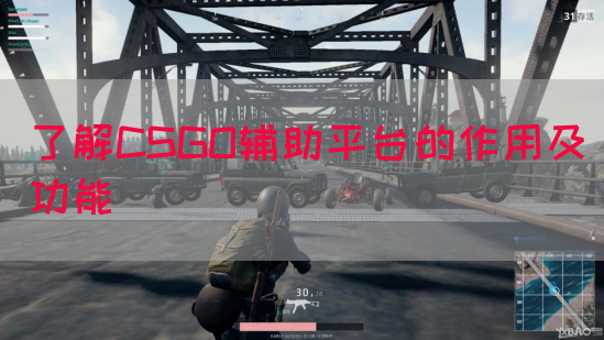 了解CSGO辅助平台的作用及功能