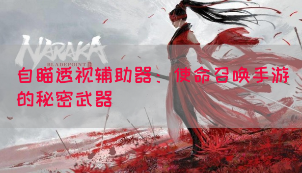 自瞄透视辅助器：使命召唤手游的秘密武器