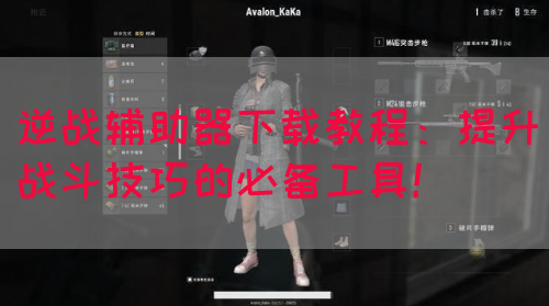 逆战辅助器下载教程：提升战斗技巧的必备工具！