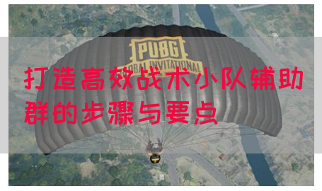 打造高效战术小队辅助群的步骤与要点