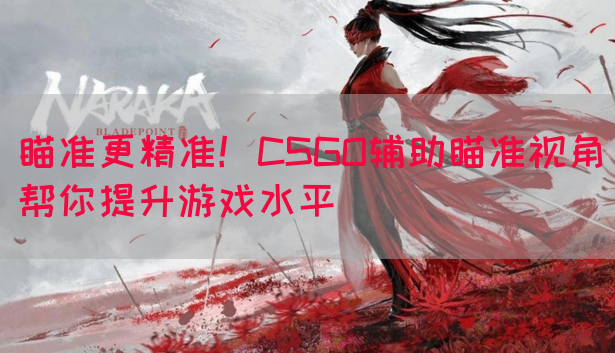 瞄准更精准！CSGO辅助瞄准视角帮你提升游戏水平