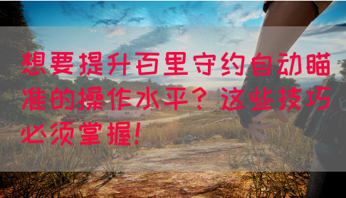 想要提升百里守约自动瞄准的操作水平?这些技巧必须掌握!(图1) 想要提升百里守约自动瞄准的操作水平?这些技巧必须掌握!(图1)
