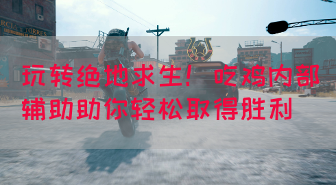 玩转绝地求生！吃鸡内部辅助助你轻松取得胜利
