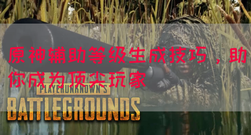 原神辅助等级生成技巧，助你成为顶尖玩家