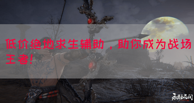 低价绝地求生辅助，助你成为战场王者！