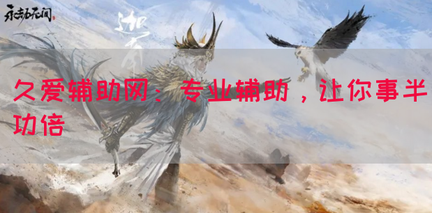 久爱辅助网：专业辅助，让你事半功倍