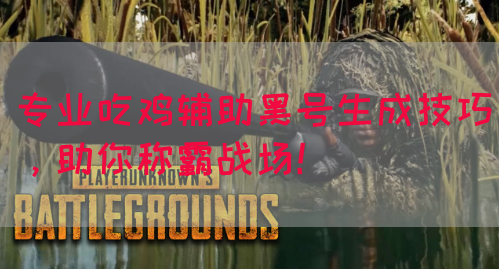 专业吃鸡辅助黑号生成技巧，助你称霸战场！