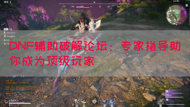 DNF辅助破解论坛：专家指导助你成为顶级玩家