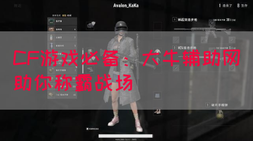 CF游戏必备：大牛辅助网助你称霸战场