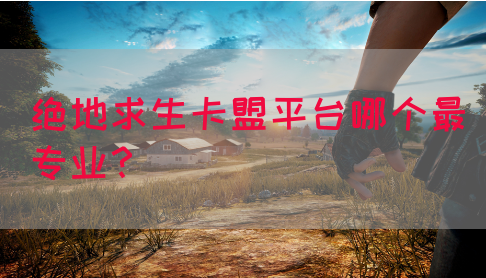 绝地求生卡盟平台哪个最专业?(图1) 绝地求生卡盟平台哪个最专业?(图1)