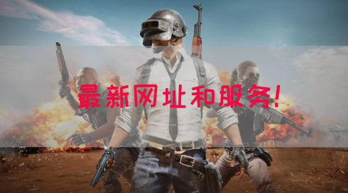 最新网址和服务！