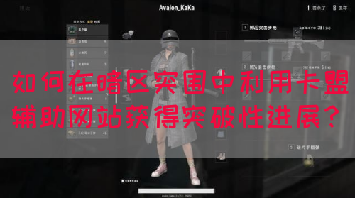 如何在暗区突围中利用卡盟辅助网站获得突破性进展?(图1) 如何在暗区突围中利用卡盟辅助网站获得突破性进展?(图1)