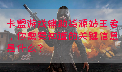卡盟游戏辅助货源站王者，你需要知道的关键信息是什么？