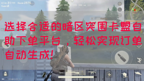 选择合适的暗区突围卡盟自助下单平台，轻松实现订单自动生成！