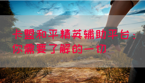 卡盟和平精英辅助平台：你需要了解的一切