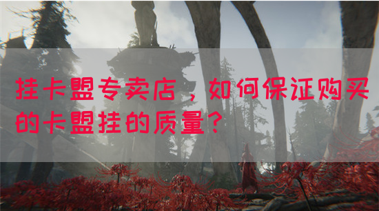 挂卡盟专卖店，如何保证购买的卡盟挂的质量？