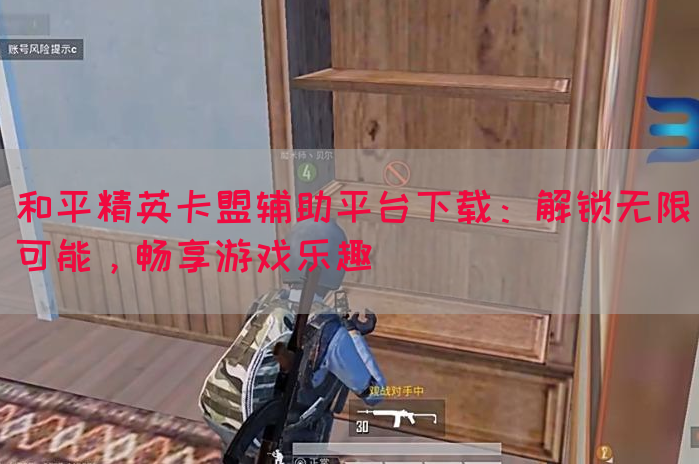 和平精英卡盟辅助平台下载：解锁无限可能，畅享游戏乐趣