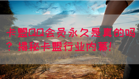卡盟QQ会员永久是真的吗？揭秘卡盟行业内幕！