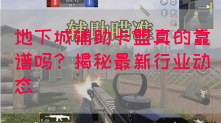 地下城辅助卡盟真的靠谱吗？揭秘最新行业动态