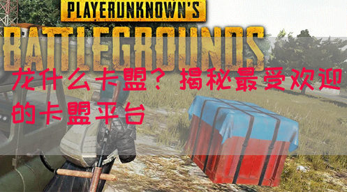 龙什么卡盟？揭秘最受欢迎的卡盟平台