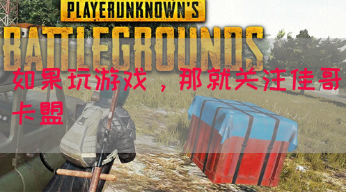 如果玩游戏，那就关注佳哥卡盟